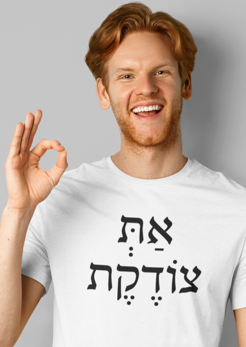 את צודקת (You're Correct) Men's Tee