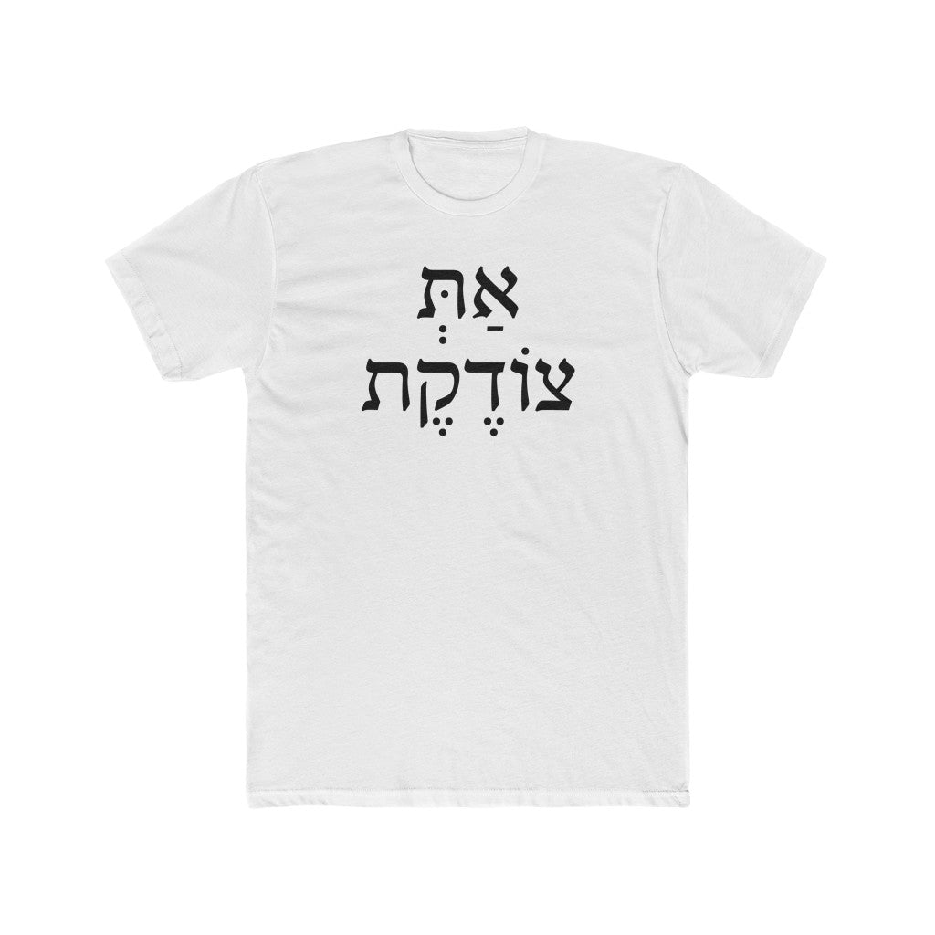 את צודקת (You're Correct) Men's Tee